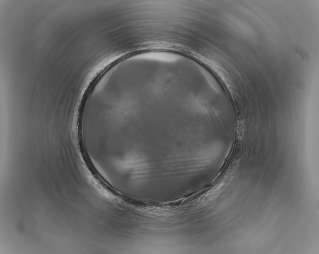 X0000112020995200908311151