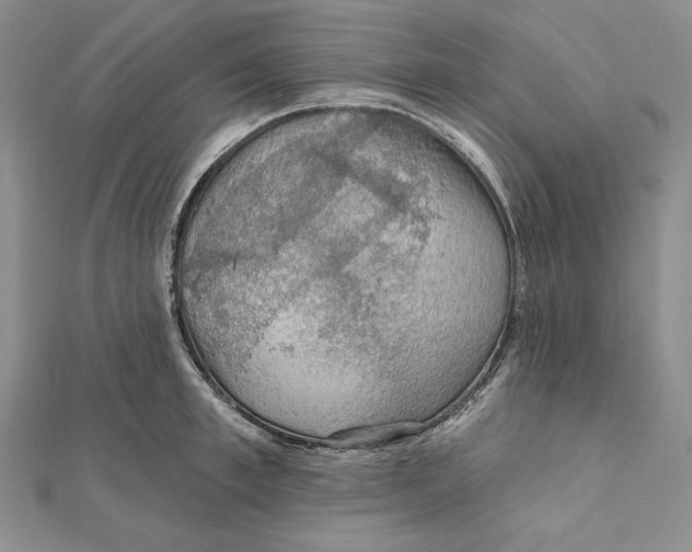 X0000112020997200908311151