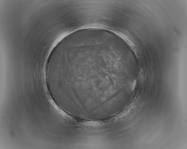 X0000112020998200908311151