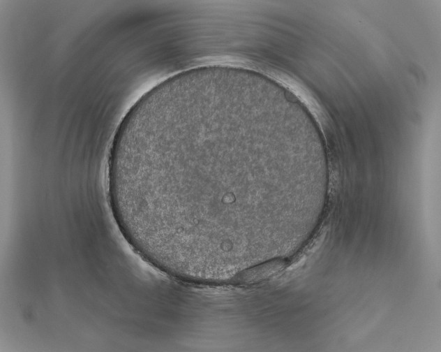 X0000112020999200908311151