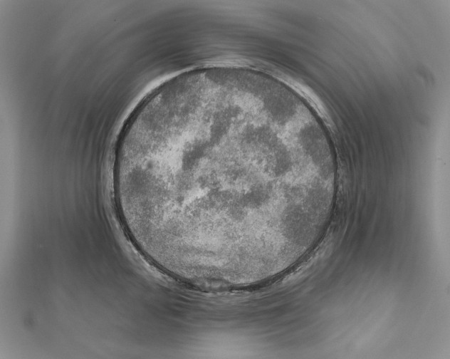 X0000112021000200908311151