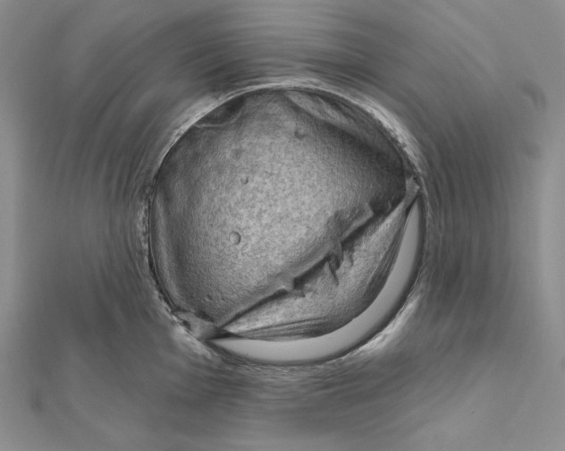 X0000112021001200908311151