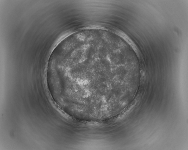 X0000112021002200908311151