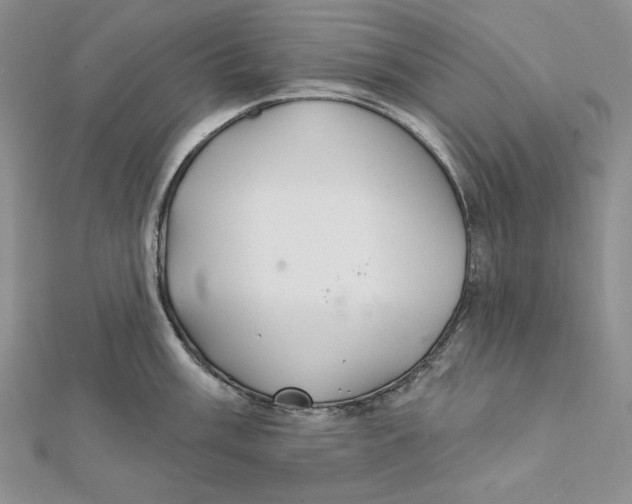 X0000112021003200908311151