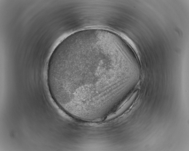 X0000112021005200908311151