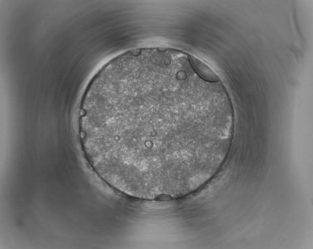 X0000112021008200908311150