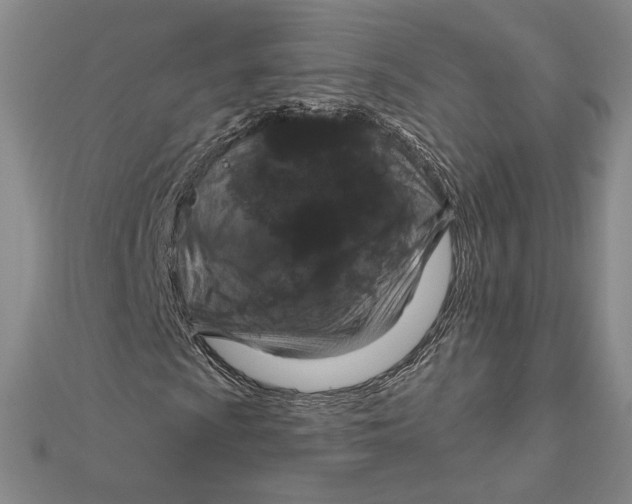 X0000112021009200908311150