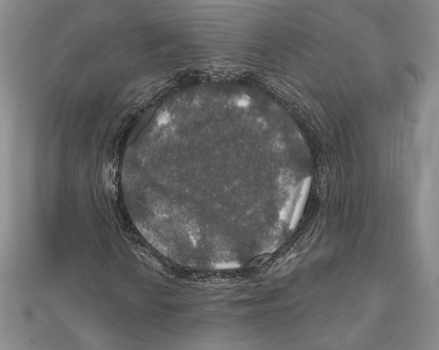 X0000112021010200908311150