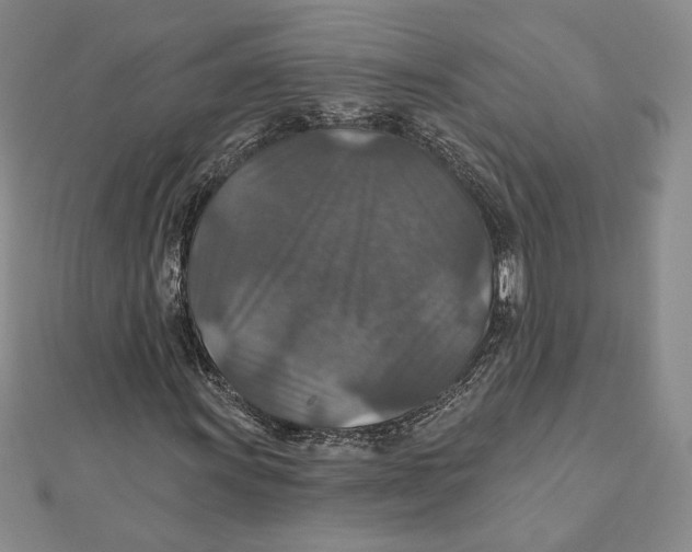 X0000112021011200908311150