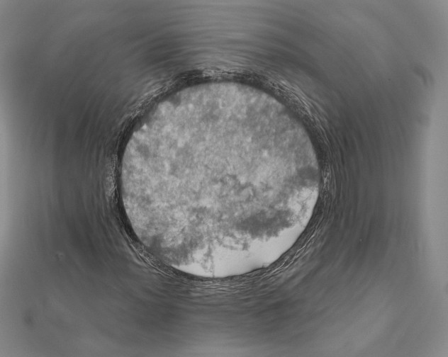 X0000112021012200908311150