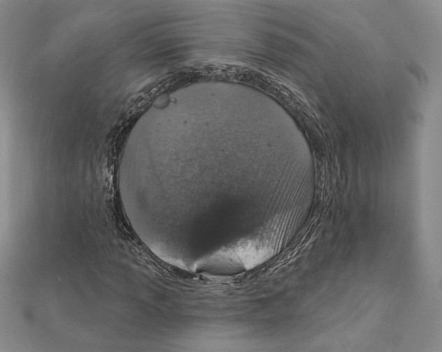 X0000112021013200908311150