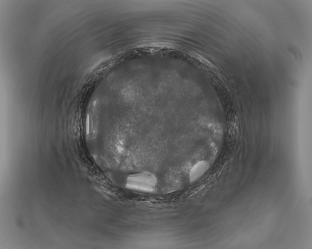 X0000112021014200908311150