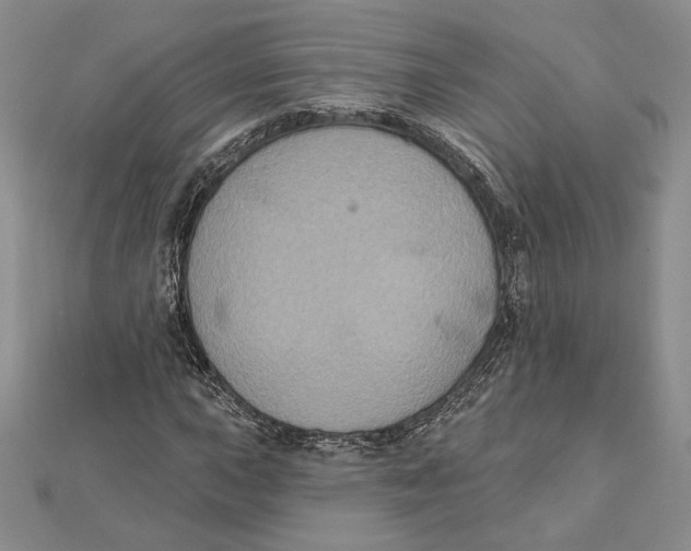 X0000112021015200908311150