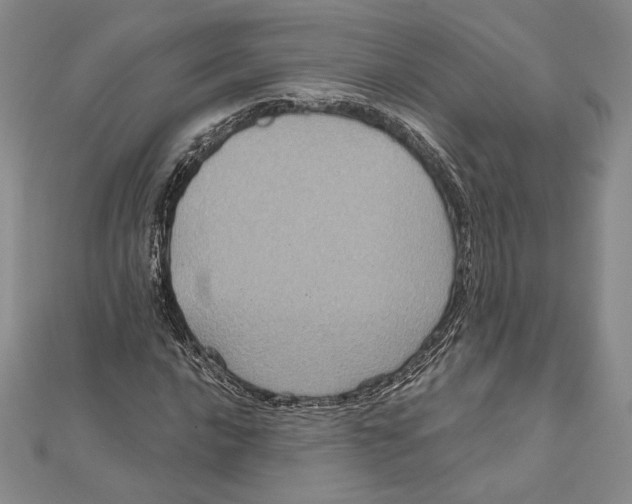 X0000112021016200908311150