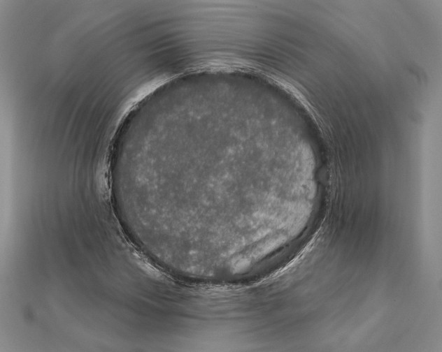 X0000112021018200908311150