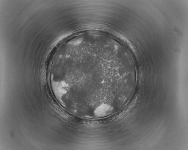 X0000112021019200908311150