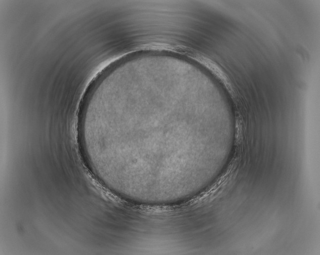 X0000112021020200908311150