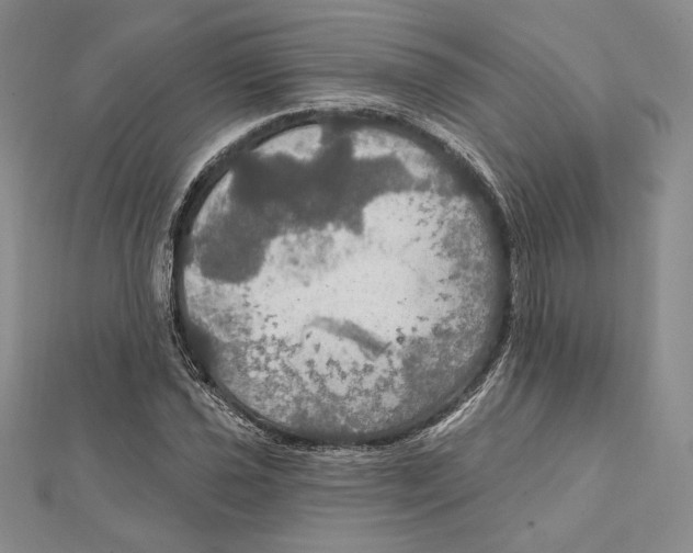 X0000112021021200908311150