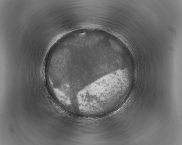 X0000112021022200908311150