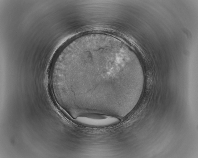 X0000112021024200908311150