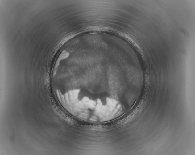 X0000112021025200908311150