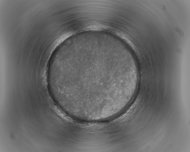 X0000112021026200908311150