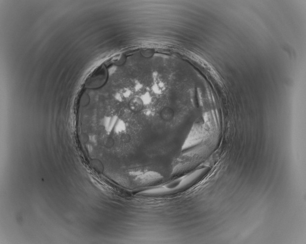 X0000112021027200908311150