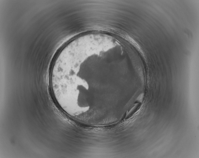 X0000112021028200908311150