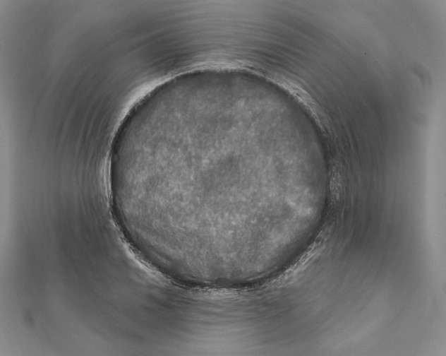 X0000112021030200908311150