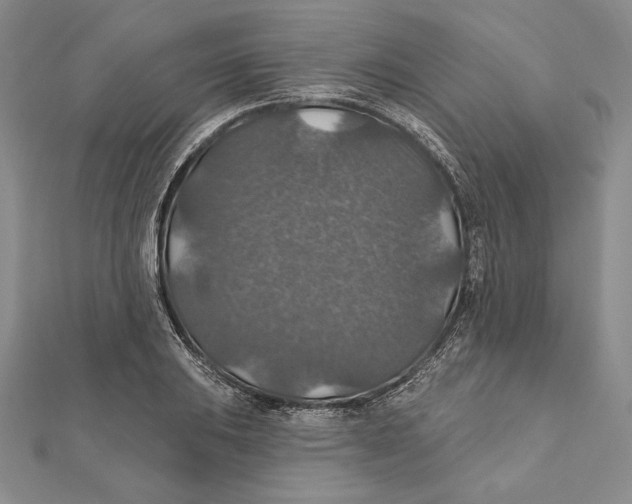 X0000112021031200908311150