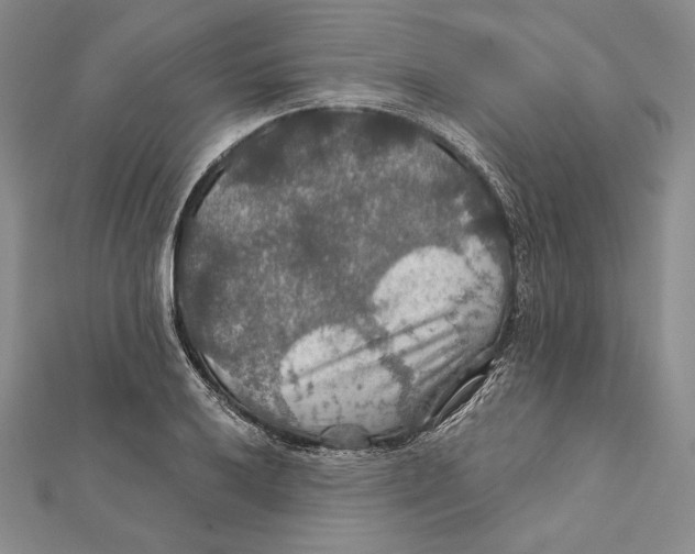 X0000112021032200908311150