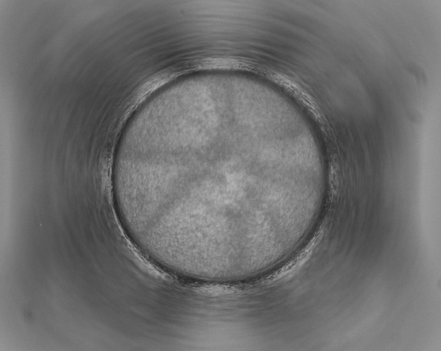 X0000112021033200908311150