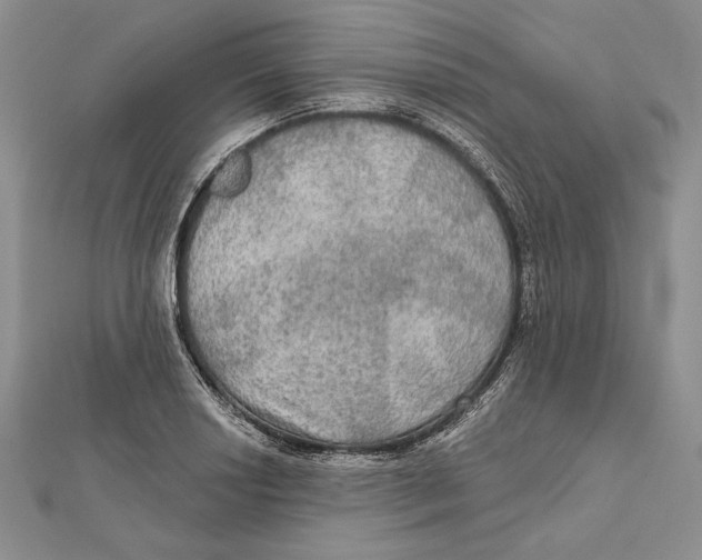 X0000112021034200908311150