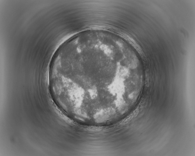 X0000112021036200908311150