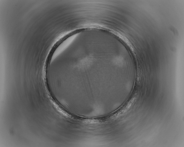 X0000112021037200908311150