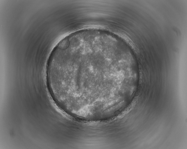 X0000112021038200908311150