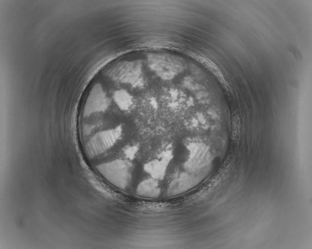 X0000112021039200908311150