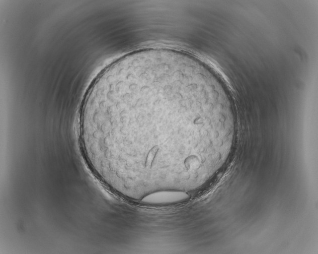 X0000112021040200908311150