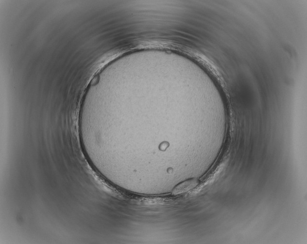 X0000112021041200908311150