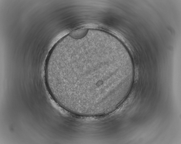 X0000112021042200908311150