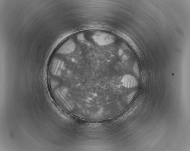 X0000112021043200908311150