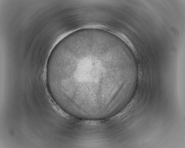 X0000112021044200908311150