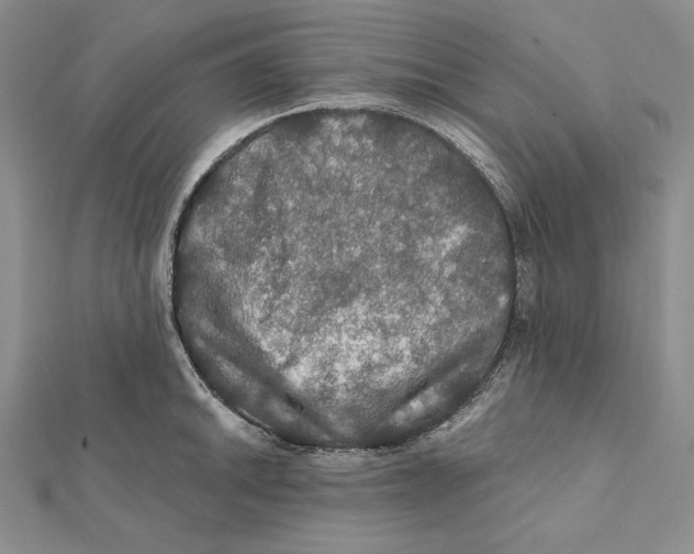 X0000112021046200908311150