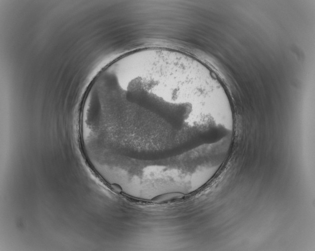 X0000112021048200908311150