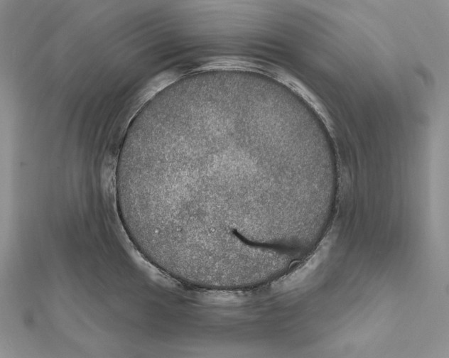 X0000112021049200908311150