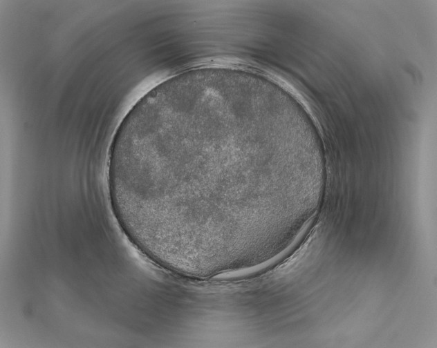 X0000112021050200908311150