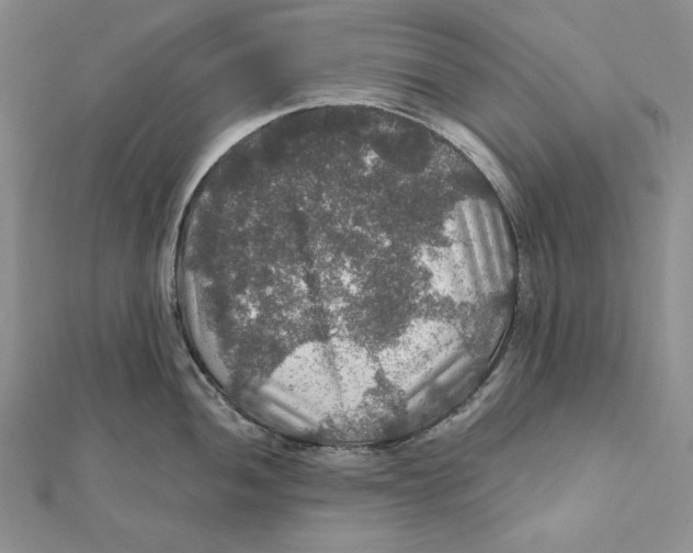 X0000112021052200908311150