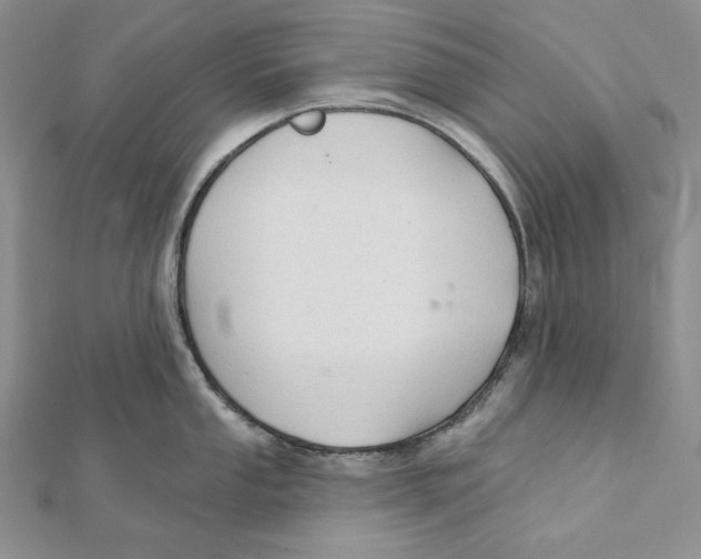 X0000112021053200908311150