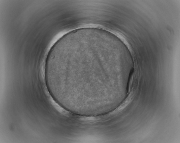 X0000112021054200908311150