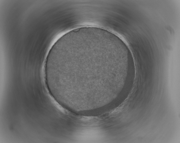 X0000112021056200908311150